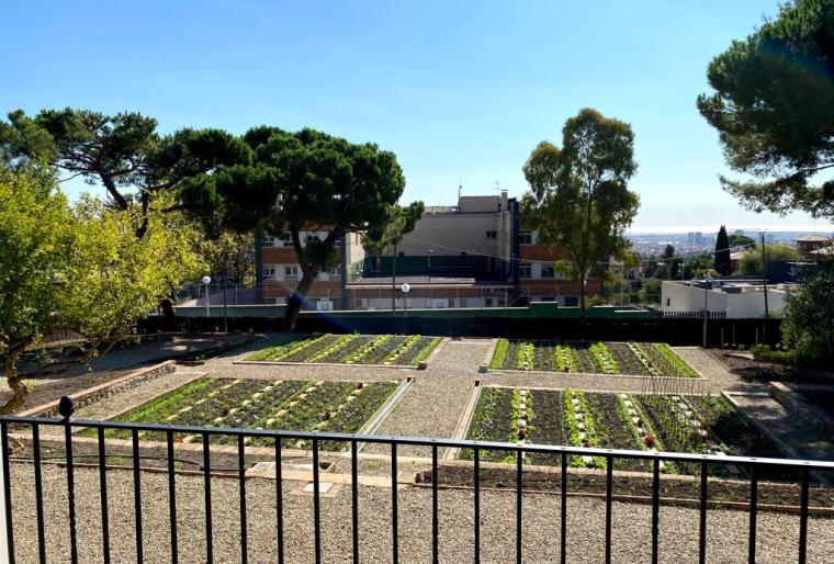 Due Diligence implantación de edificio biofílico en Les Corts