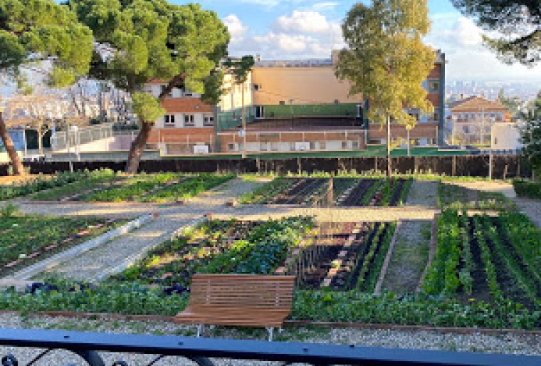 Due Diligence implantació d'edifici biofílico a Les Corts
